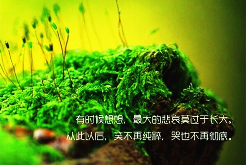 人生道路砍柯的说说 坎坎坷坷人生路说说