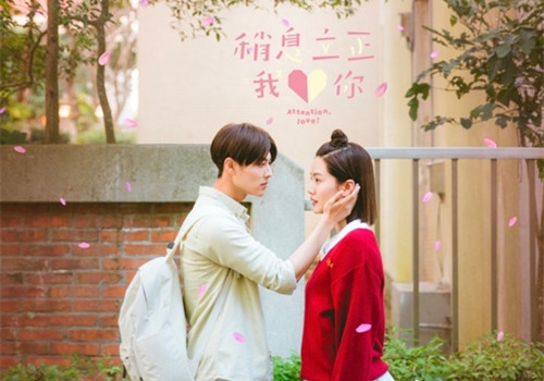 有关校园的优美句子 青春校园唯美句子