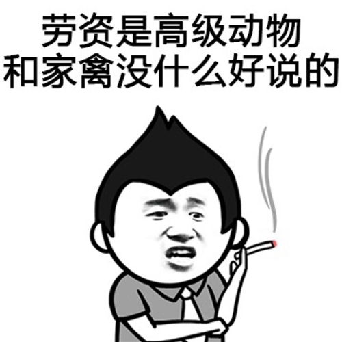 很长一段骂人的话