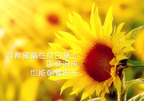 好心情是自己给的说说