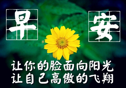 清晨朋友圈励志正能量哲理语录
