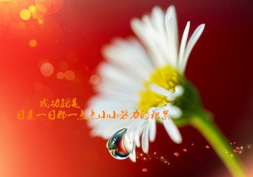 点燃团队的斗志的句子