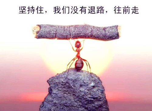 2020抖音最火的正能量句子
