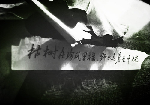 每日工作感悟收获一句话