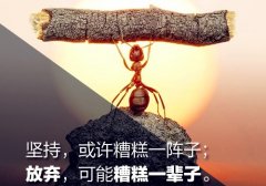 人生有内涵有品味的句子