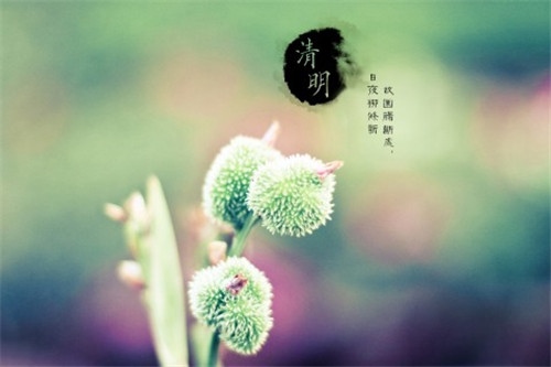 思念已故父亲的唯美句子