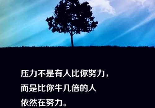 业绩最后冲刺的励志句子