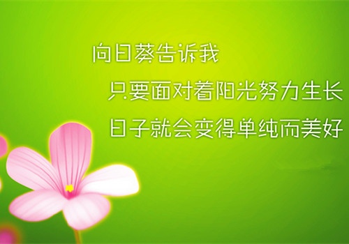 成功激励人生的句子