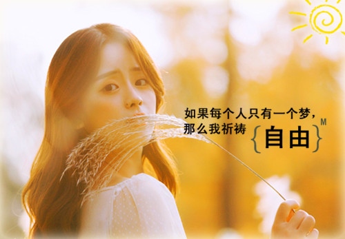 孤单的唯美伤感的句子