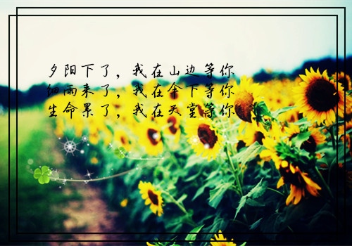 毕业季感谢老师的温暖话语
