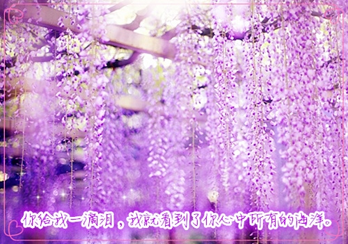 毕业季感谢老师的温暖话语