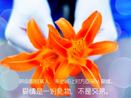 适合发朋友圈的酷酷的句子