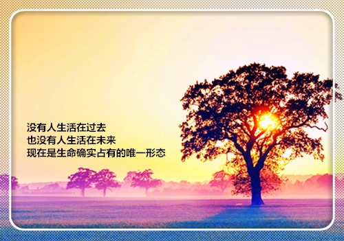 高端大气上档次的座右铭