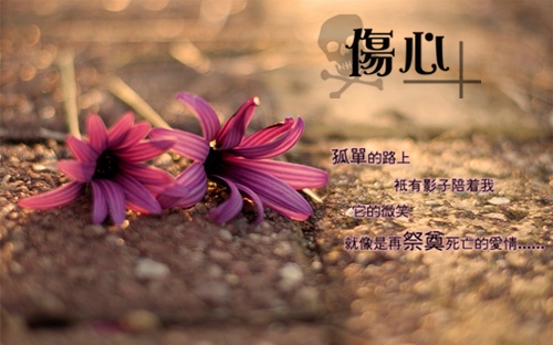 心情孤单失落的一句话