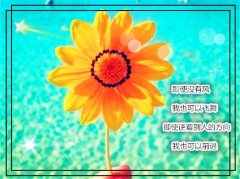 理解和体谅的经典语录