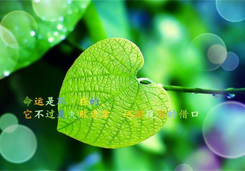 激励团队奋斗励志的句子