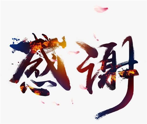 感谢领导的朴实话语