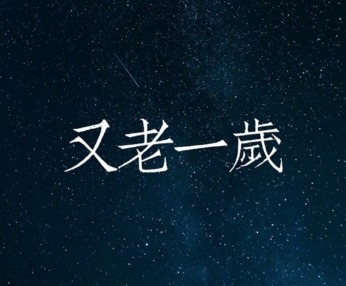 又老了一岁的心情句子