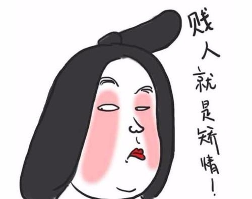 骂心机婊发朋友圈的话