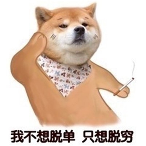 七夕情人节单身狗说说