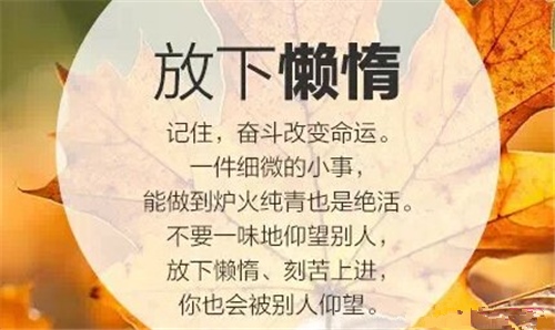 最有内涵的人生哲理名言