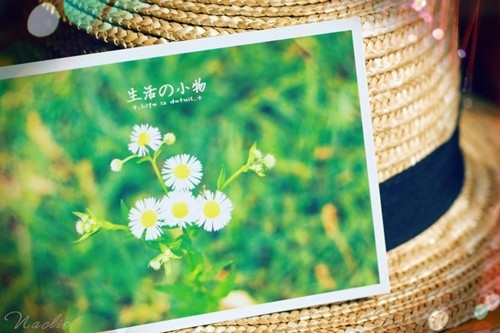 在异乡思念家乡的句子