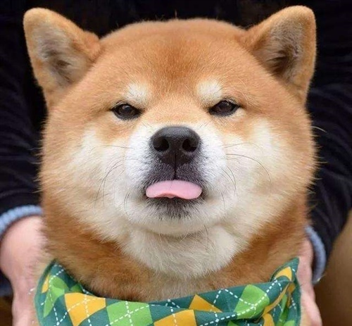 朋友圈提升人气幽默的段子
