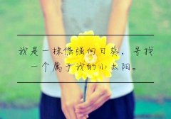 每天一句话精选语录