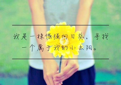 每天一句话精选语录