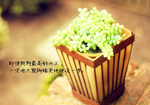 比较励志又唯美的句子