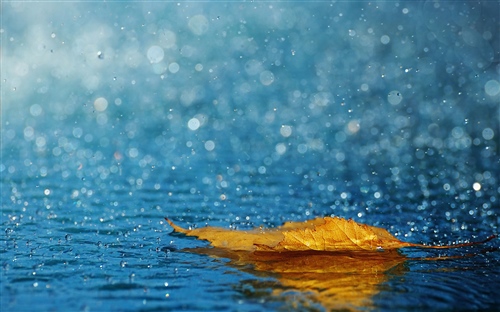 形容下雨天浪漫的句子