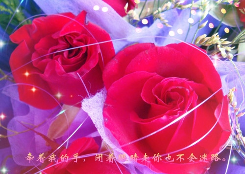关于爱情富有哲理的句子
