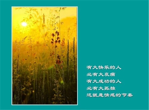 温暖清新的文艺短句