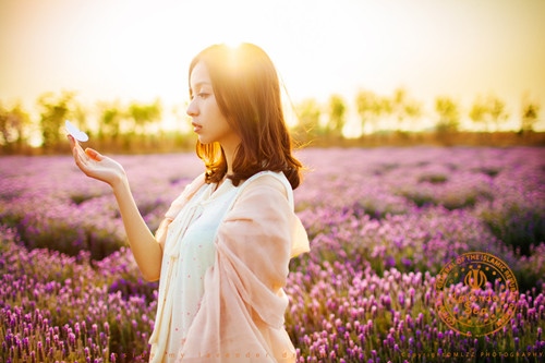 可盐可甜的小仙女句子