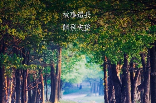 诗经中最唯美的句子