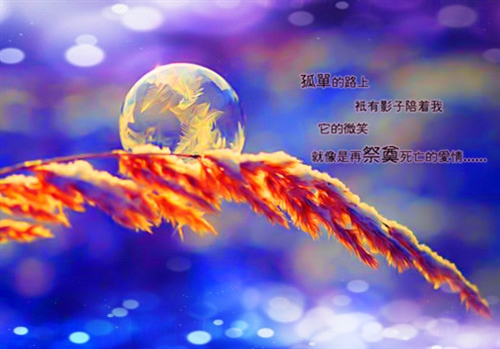 被信任的人欺骗的说说