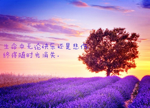 精选朋友圈一句话经典心情语录