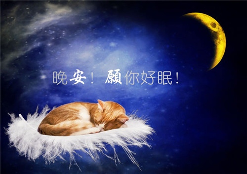 适合睡前的干净朋友圈
