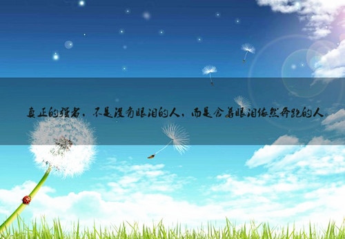 感情语录心痛的句子