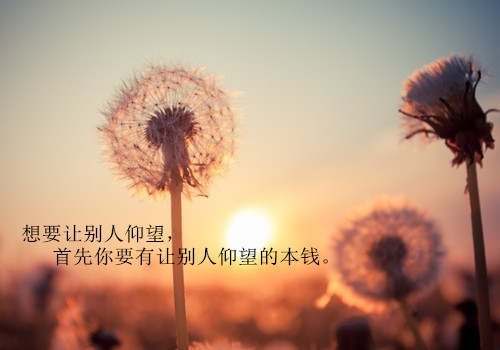 100句最伤感的爱情句子