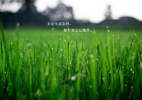 职场正能量励志一句话