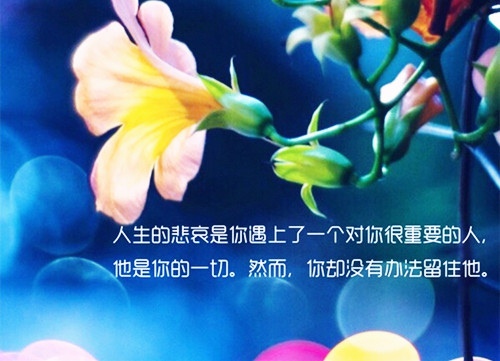 感动内心而励志的句子
