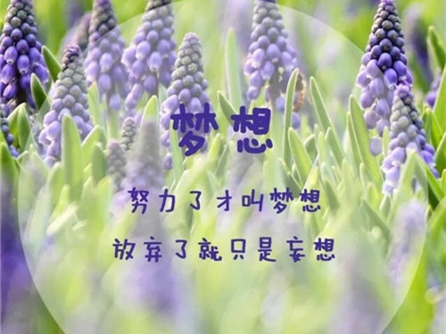 适合上班族励志的句子