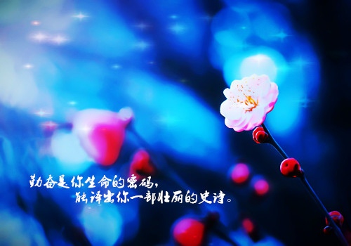 十一月第一天励志句子文案