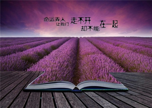 给自己说辛苦的晚安语录