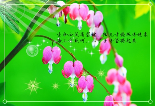 中国安全又发达