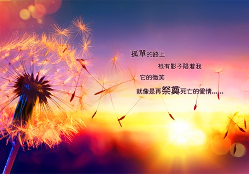 回复清晨一声温暖的问候的句子