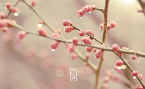 描写立春节气的优美句子