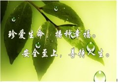 珍爱生命正能量的句子 关于珍爱生命的名言