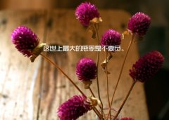 谢谢客人照顾生意的说说